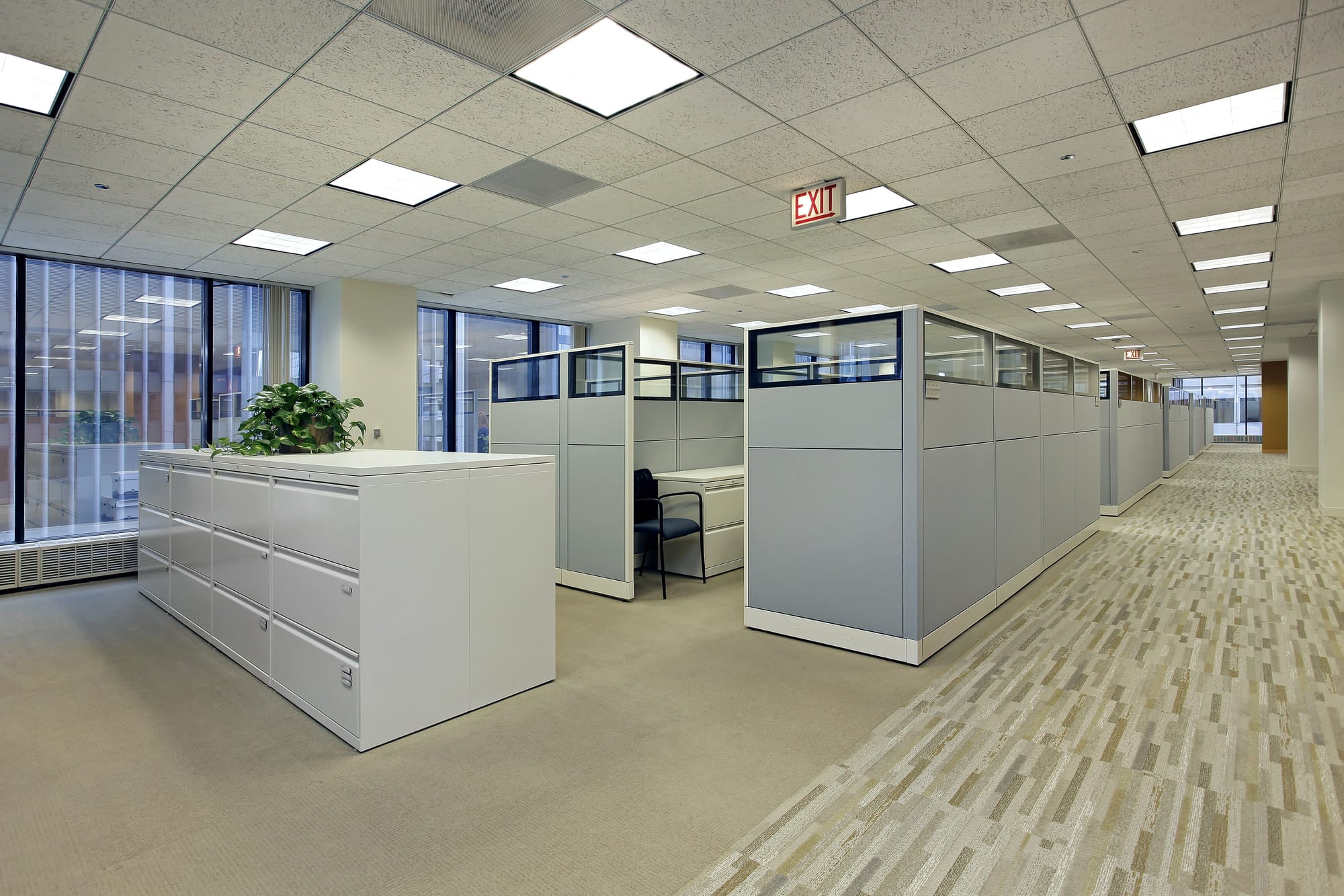 Office Painting in San Francisco Bay Area