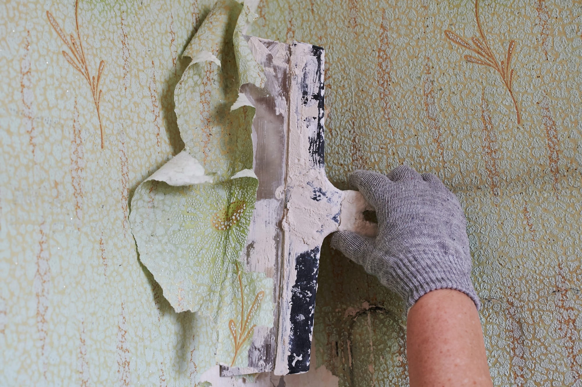Wallpaper Removal and Installation in San Francisco Bay Area
