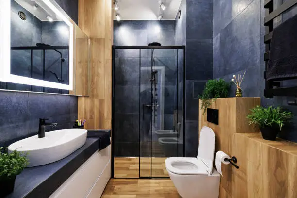 Modern bathroom with deep blue walls, contrasting wood accents, and sleek finishes by a house painter in San Carlos, CA.